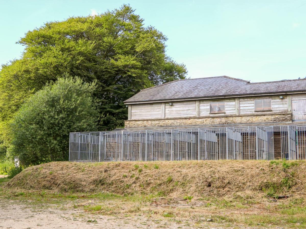 Great Bradley Cottage Minehead Buitenkant foto